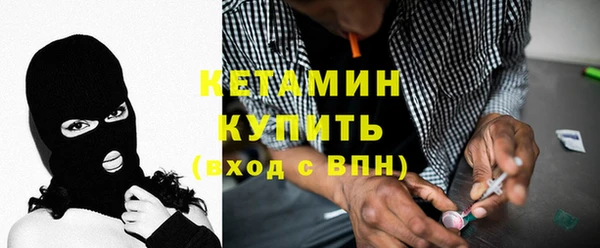 хмурый Аркадак