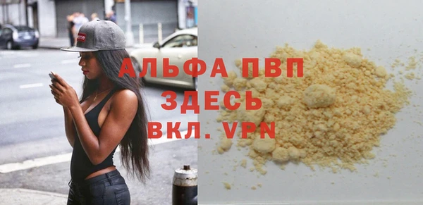 хмурый Аркадак