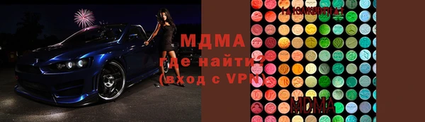 хмурый Аркадак