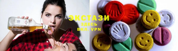 хмурый Аркадак