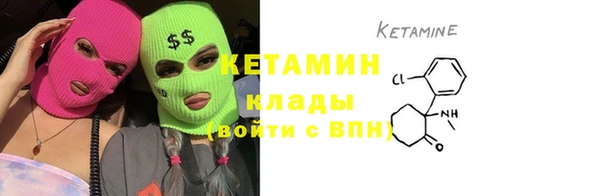 хмурый Аркадак