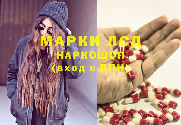 хмурый Аркадак
