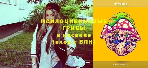 хмурый Аркадак