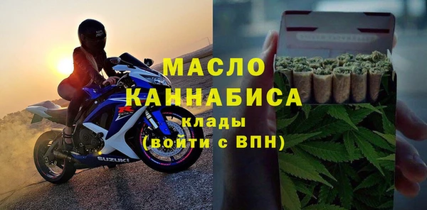 хмурый Аркадак