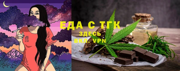 хмурый Аркадак