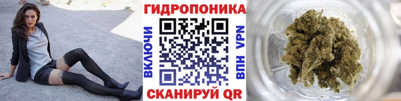 мориарти клад  Оленегорск  Бошки марихуана индика 